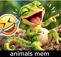Mems GIF