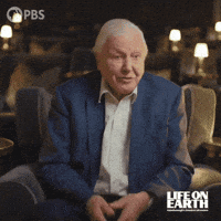 We Did It Success GIF by PBS