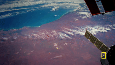 one strange rock GIF by National Geographic Channel