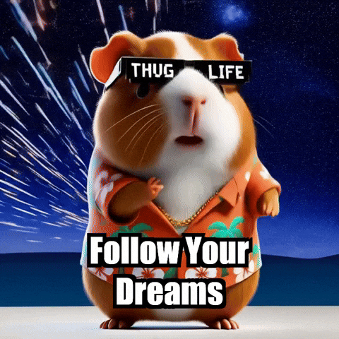 Follow Your Dreams GIF by Guinea Gambino