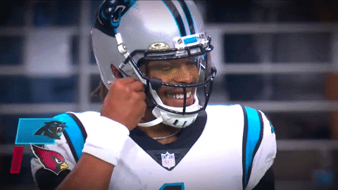 Cam Newton Smile GIF by Carolina Panthers