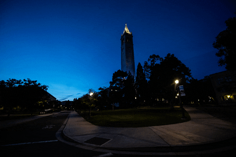 Uc Berkeley GIF by Cal