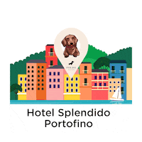 Travel Holiday Sticker by POLDO DOG COUTURE