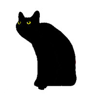srodan art cat animation animated GIF
