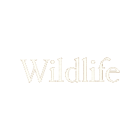 plana_earth earth planet wildlife climatechange Sticker
