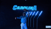 North Carolina Baseball GIF by UNC Tar Heels