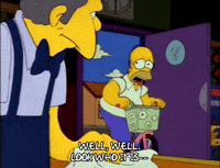 homer simpson GIF