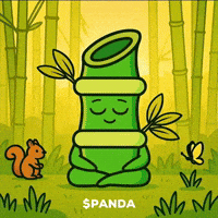 Happy Good Morning GIF by PandaMania