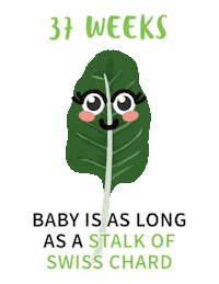 swiss chard baby Sticker by Parents