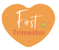 Bubzi baby pregnant pregnancy birth Sticker