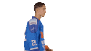Hockey De Sticker by UNIS Flyers