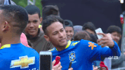selecao brasileira GIF