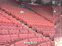 Hockey. What A Fantastic Sport