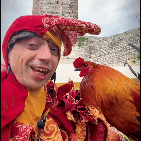 Gallo Medioevo GIF by Nespolo Giullare