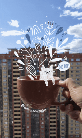 Cat Coffee GIF