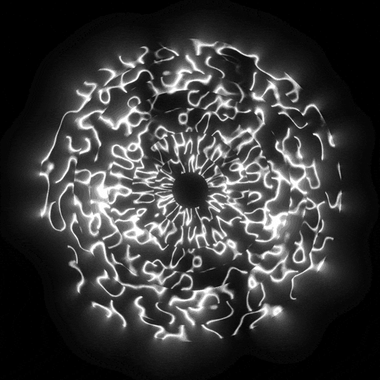 Black And White Loop GIF by xponentialdesign