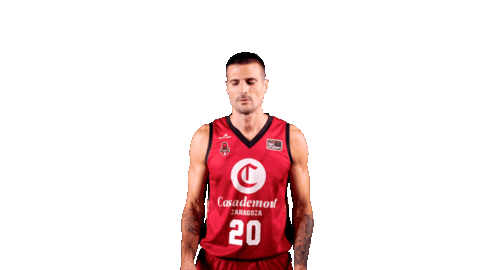 Liga Endesa Basketball Sticker by ACB