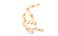 Cats Library Sticker by Simon Kids