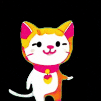 Cat Wow GIF