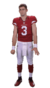 Arizona Cardinals Sticker Sticker by NFL