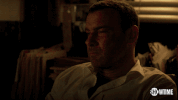 ray donovan show GIF by Showtime