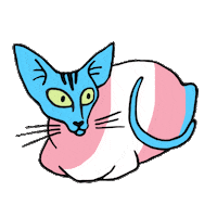 Cat Kitty Sticker