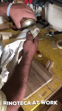 rinoteca  GIF