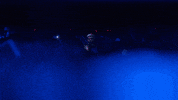 Idris Elba GIF by Coachella