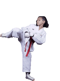 Ken Hernandez Sticker by Leveluptaekwondo