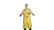 Liga Endesa Basketball Sticker by ACB