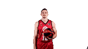 Liga Endesa Basketball Sticker by ACB
