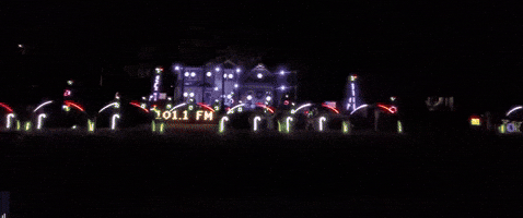Georgia Bulldogs Fan Honors Team With Extravagant Holiday Light Display