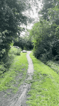 Travel City GIF