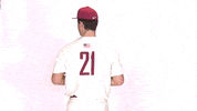 Baseball Roll Pards GIF by Lafayette Leopards