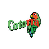 Jerga Dominicana Cotorra Sticker by Dominside