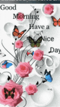 Have A I Love GIF by Murcianys LLC