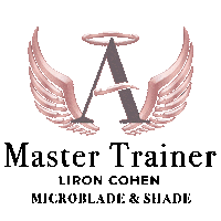 Beauty Angels Sticker by lironcohen