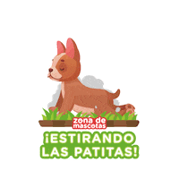 ProntoCopecChile prontocopec zonademascotascopec prontopartedetuvida mascotasprontocopec Sticker