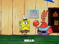 season 5 GIF by SpongeBob SquarePants