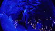 5sos GIF by 5 Seconds of Summer