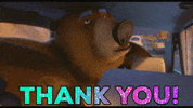 John Krasinski Love GIF by The Animal Crackers Movie
