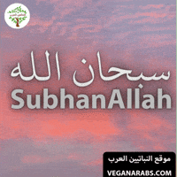Islam Arabic Language GIF by VeganArabs