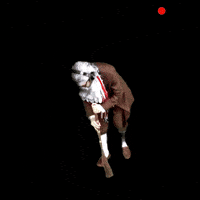 Recording Control Room GIF