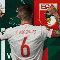 Jeffrey Gouweleeuw Football GIF by FC Augsburg 1907