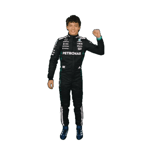 Formula One Sticker Sticker by Mercedes-AMG Petronas Formula One Team