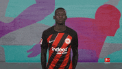 Eintracht Frankfurt Football GIF by Bundesliga