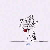 Happy Birthday Cat GIF by marko