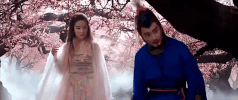 liu yi fei san sheng san shi shi li tao hua GIF
