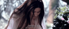 liu yi fei san sheng san shi shi li tao hua GIF