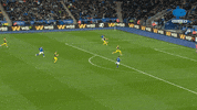 GIF by MolaTV